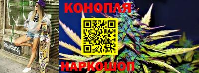 шишки Будённовск