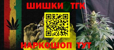 шишки Будённовск