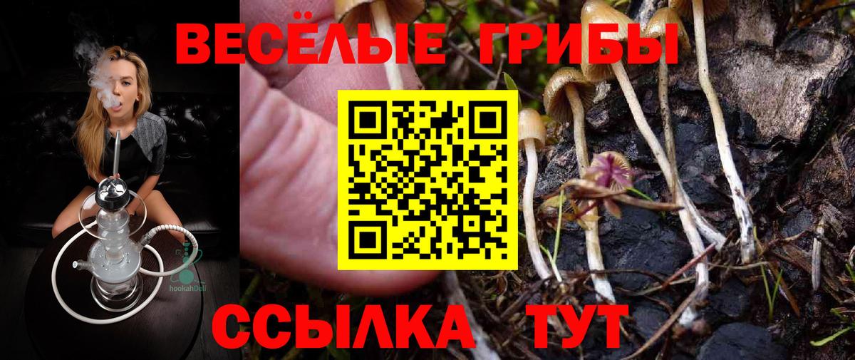 Псилоцибиновые грибы MAGIC MUSHROOMS Партизанск